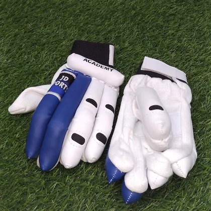 Best Cricket Gloves